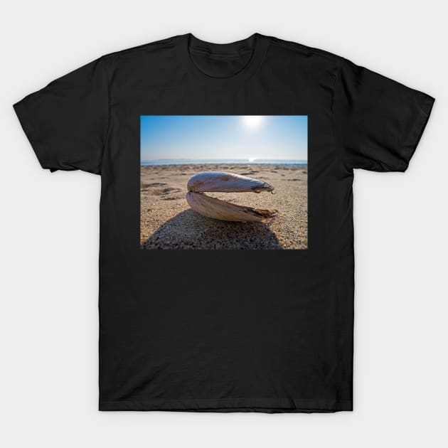 Revere Beach Clam Shell Side Revere MA T-Shirt by WayneOxfordPh